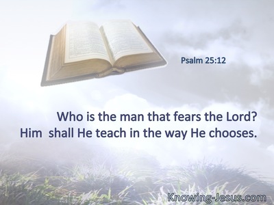 Who is the man that fears the Lord? Him  shall He teach in the way He chooses.